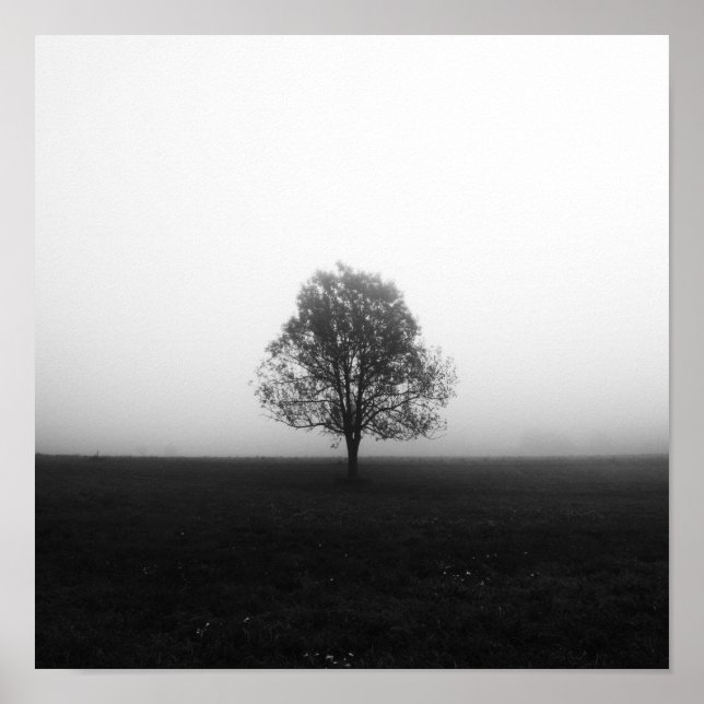 Lonely tree in fog black and white poster (Front)