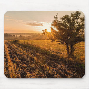 Lonely tree on the foggy field in golden sunrise mouse mat