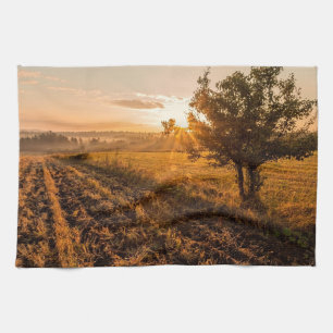 Lonely tree on the foggy field in golden sunrise tea towel