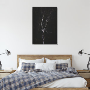Lonely white tree canvas print