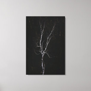 Lonely white tree canvas print