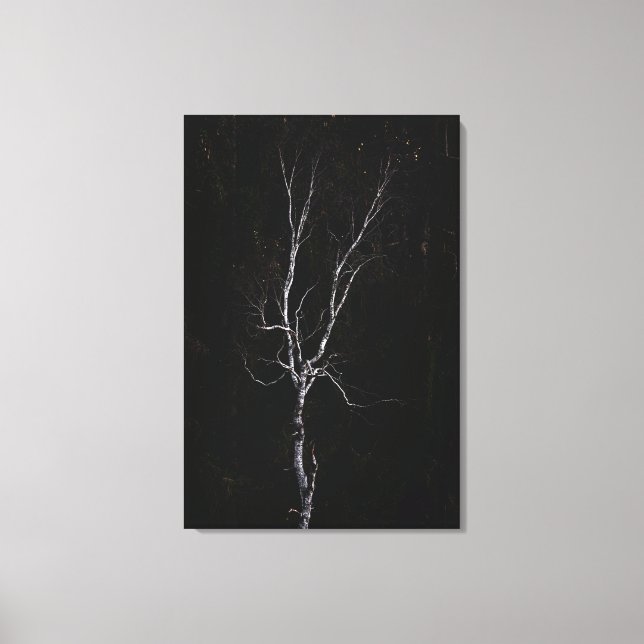 Lonely white tree canvas print (Front)
