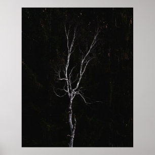 Lonely white tree poster