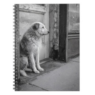Lonesome Dog Weathered Door Notebook