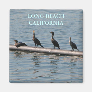 Long Beach Magnet!!! Magnet