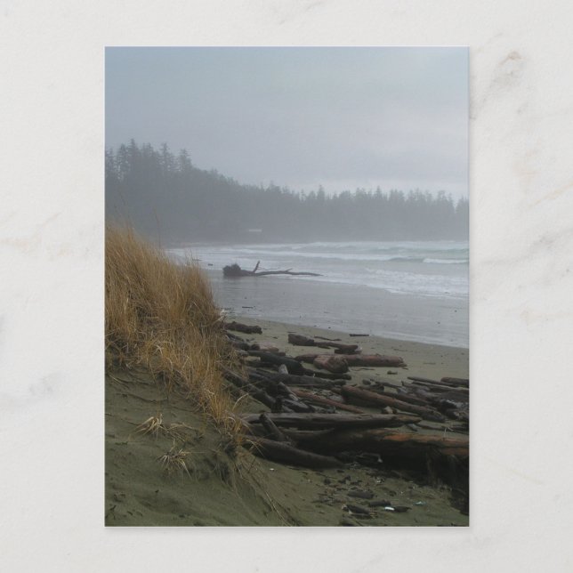 Long Beach, Tofino, Vancouver Island Postcard (Front)