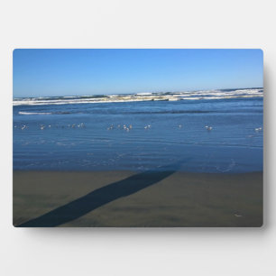 Long Beach, Washington Plaque