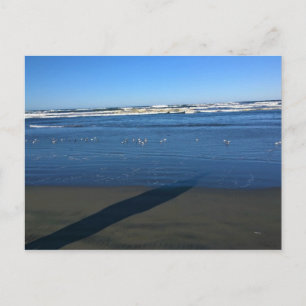 Long Beach, Washington Postcard