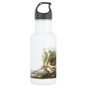Long-billed Curlew by Audubon 532 Ml Water Bottle