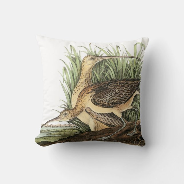 Long-billed Curlew by Audubon Cushion (Front)