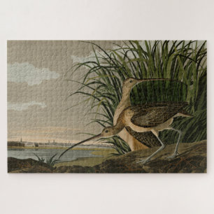 Long-billed Curlew from Audubon's Birds of America Jigsaw Puzzle