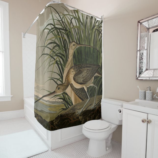 Long-billed Curlew from Audubon's Birds of America Shower Curtain (In Situ)
