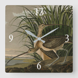 Long-billed Curlew from Audubon's Birds of America Square Wall Clock