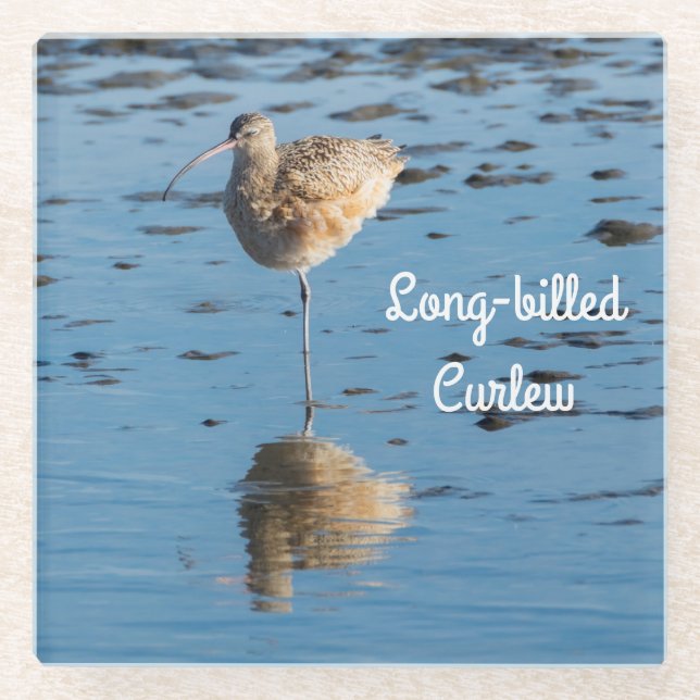 Long-billed Curlew Glass Coaster (Front)