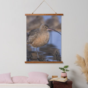 Long Billed Curlew Hanging Tapestry