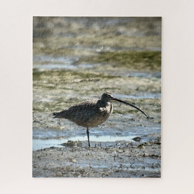 Long-billed Curlew Jigsaw Puzzle (Vertical)