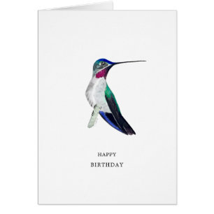 Long-billed Starthroat Hummingbird Birthday Card