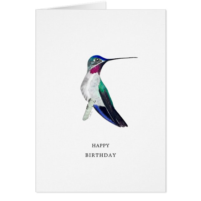 Long-billed Starthroat Hummingbird Birthday Card (Front)