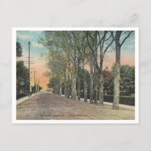 Long Branch NJ Cedar Ave 1911 Vintage Style Postcard