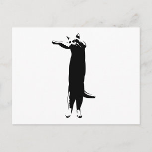 Long cat meme postcard