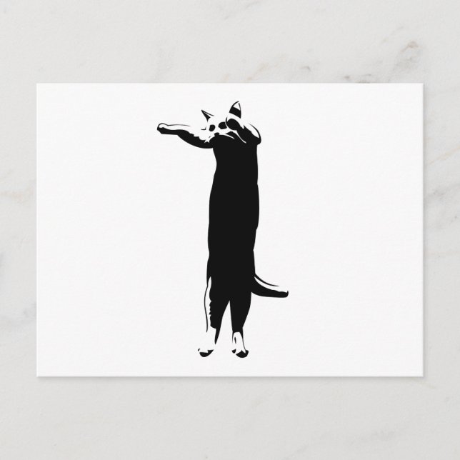 Long cat meme postcard (Front)