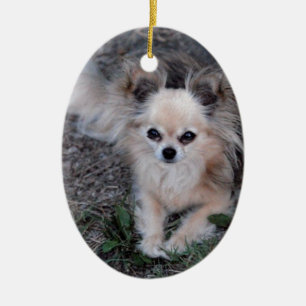 Long Coat Chihuahua Ceramic Tree Decoration