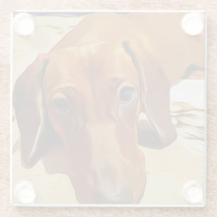 Long Dachshund Is Lying On The Bed Glass Coaster