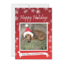 Long Dog Snowflake Christmas Card