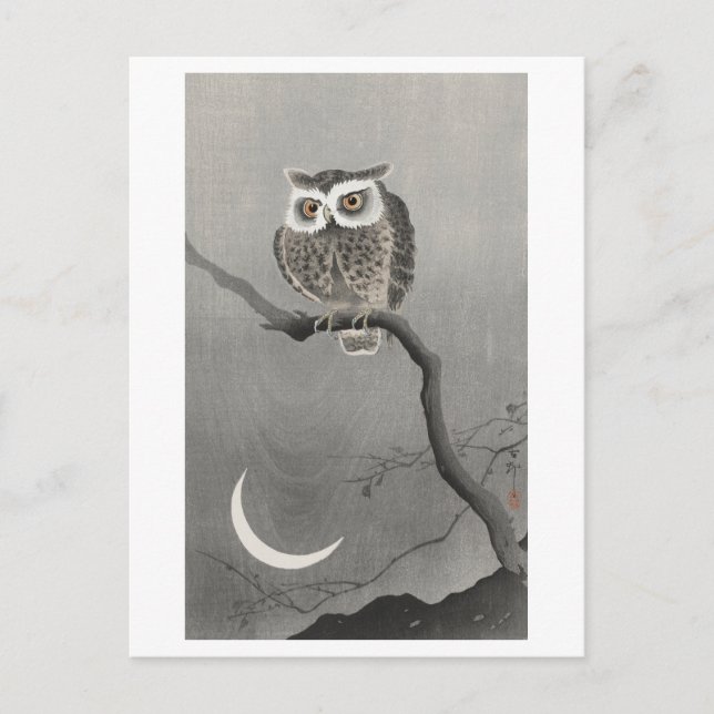 Long-Eared Owl at Night Vintage Postcard (Front)