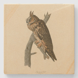 Long-eared Owl from Audubon's Birds of America Stone Coaster