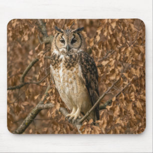 Long-eared Owl Hiding in Brown Leaves Mouse Mat