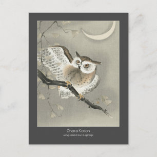Long-eared owl in ginkgo - Charcoal - Ohara Koson  Postcard