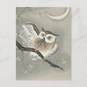 Long-eared Owl in Ginkgo Painting by Ohara Koson Postcard