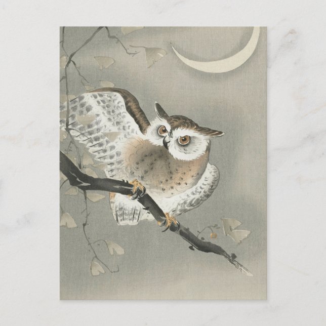Long-eared Owl in Ginkgo Painting by Ohara Koson Postcard (Front)