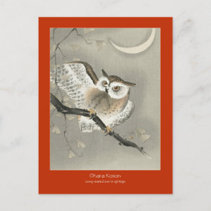 Long-eared owl in ginkgo - Red -  Ohara Koson  Postcard