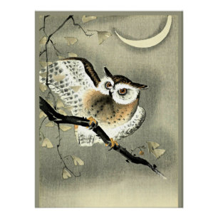 Long-Eared Owl on a Tree Branch by Ohara Koson Poster