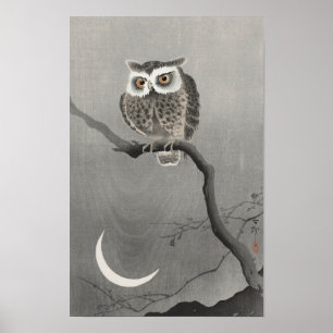 Long-Eared Owl on Tree Branch (1900–1930) by Ohara Poster
