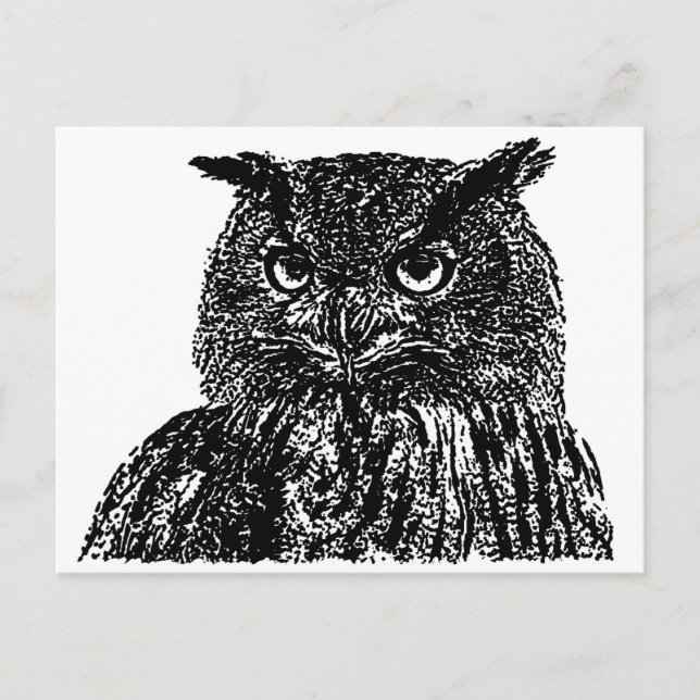 Long Eared Owl Postcard (Front)
