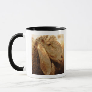 Long Eared Sheep Dolomites, Italy Mug
