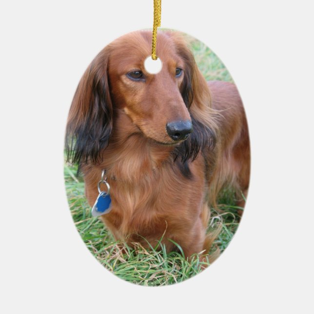Long Hair Dachshund Ornament (Front)