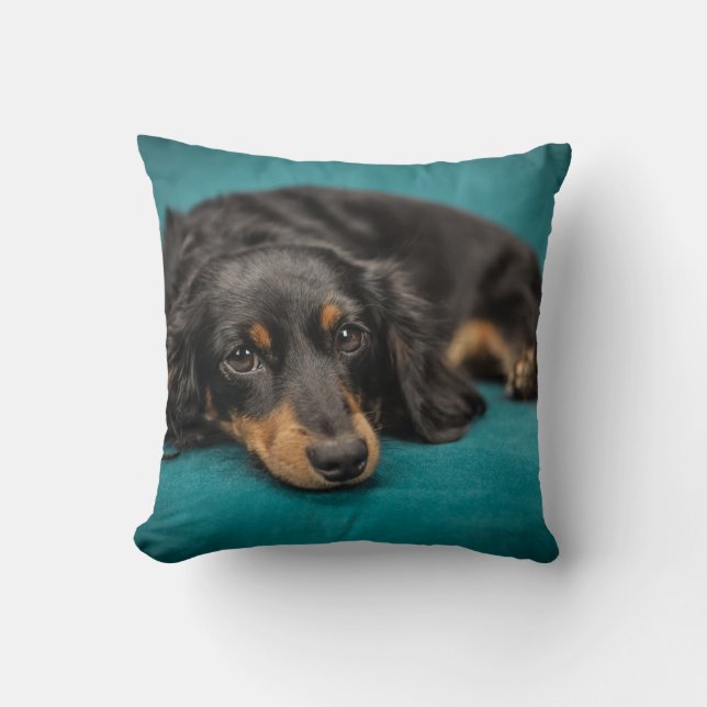 Long-Hair Dachshund Pillow (Front)