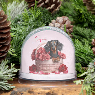 Long Hair Dachshund Roses Snowglobe