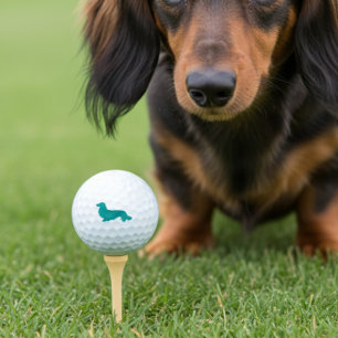 Long Hair Dachshund Teal Golfer Gift Golf Balls