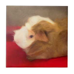 Long Hair Guinea Pig Tile