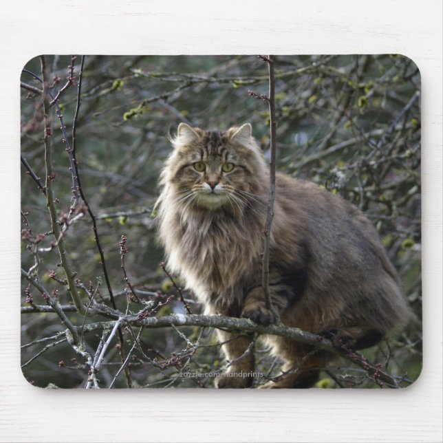 Long-hair Tabby Cat Mousepad (Front)