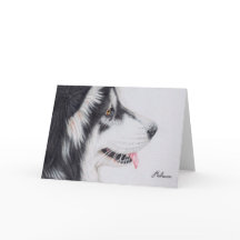 Long Haired Alaskan Malamute