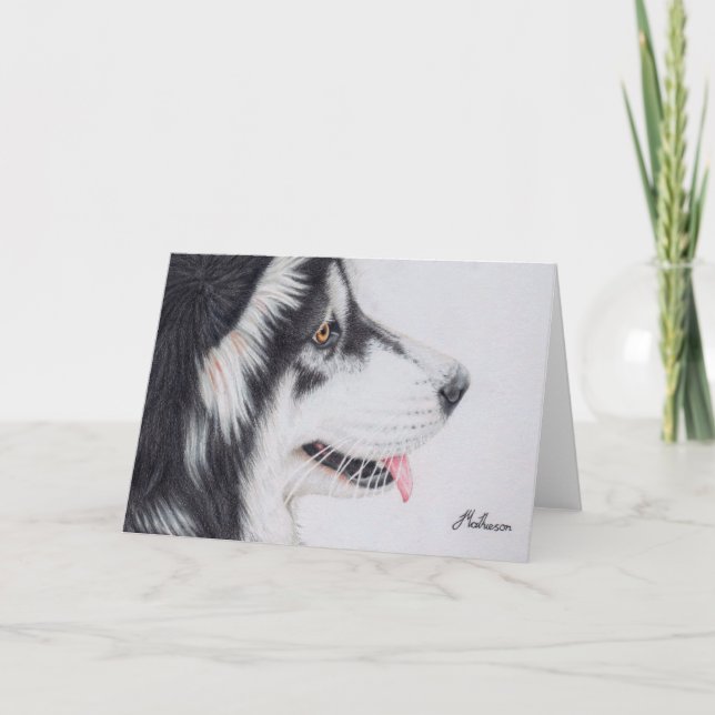 Long Haired Alaskan Malamute Card (Front)