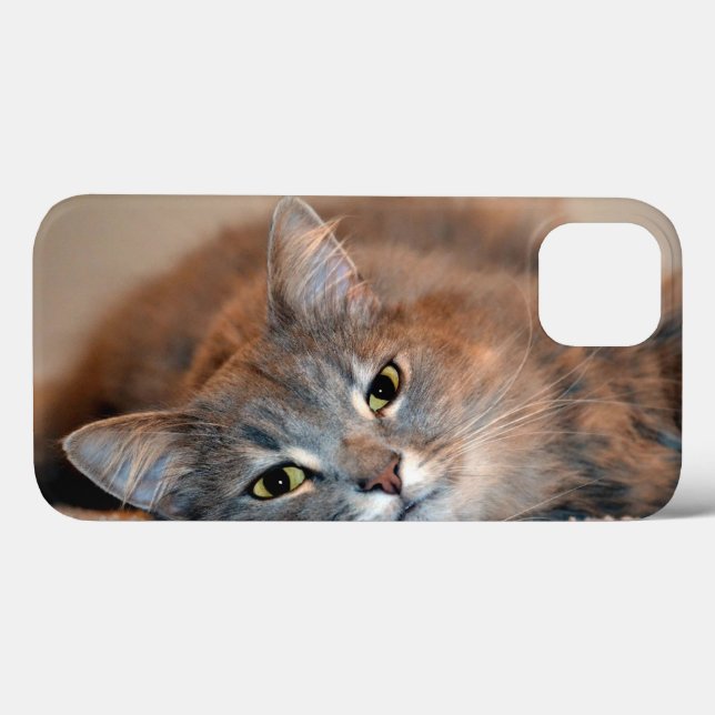 Long Haired Blue Russian Cat by Shirley Taylor Case-Mate iPhone Case (Back (Horizontal))