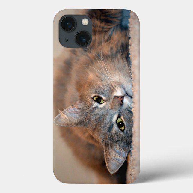 Long Haired Blue Russian Cat by Shirley Taylor Case-Mate iPhone Case (Back)