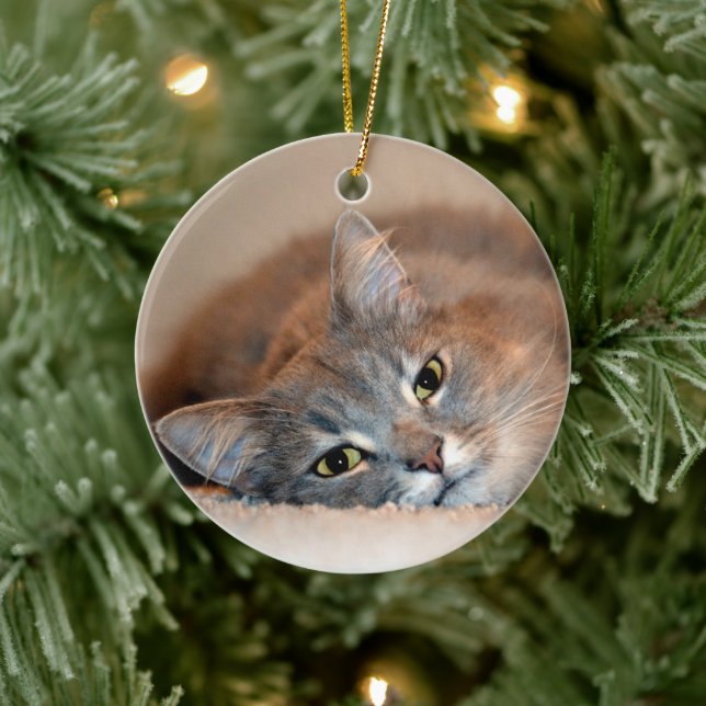 Long Haired Blue Russian Cat by Shirley Taylor Ceramic Tree Decoration (Tree)